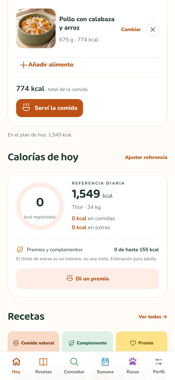 Calorías del día