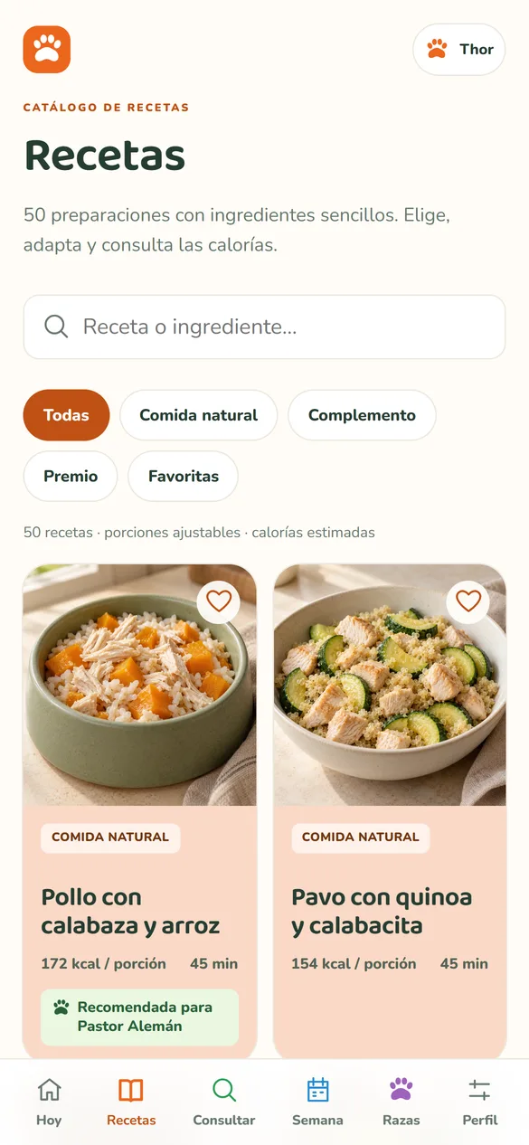 Pantalla de la app: 50 recetas