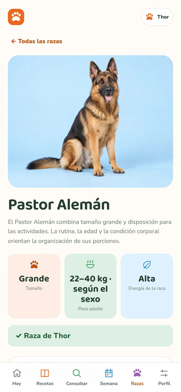 Razas, peso y varios perros